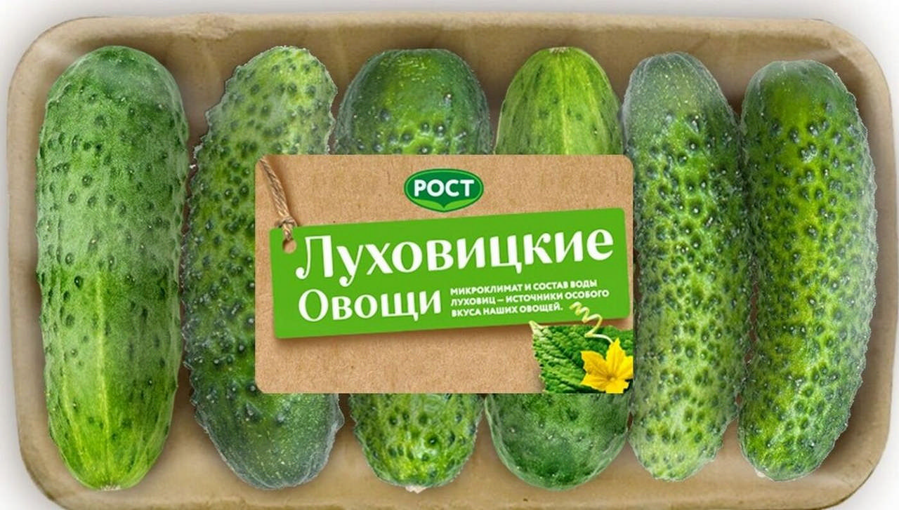 Огурец овощной шедевр