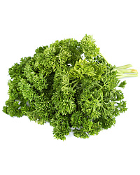 Петрушка кудрявая
