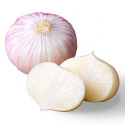 Чеснок Соло упаковка, 250 г