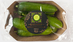 Огурцы короткоплодные гладкие упаковка, 300 г