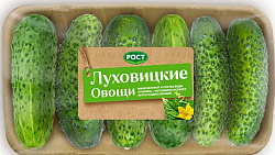 Огурцы Луховицкие овощи упаковка, 170 г