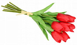 Букет тюльпанов, 7 шт