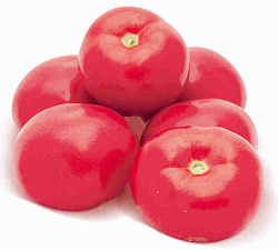 Томаты Юг России розовые