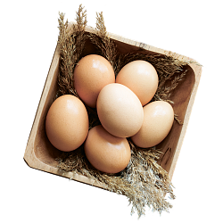 Яйцо куриное столовое 1 категории, 10 шт