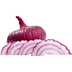 Лук Ялтинский