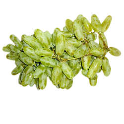 Виноград Дамские пальчики