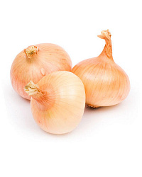Лук репка (общепит)