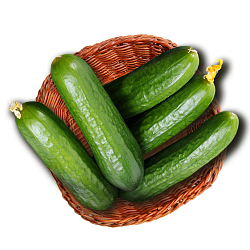 Огурец бакинский упаковка, 1 кг