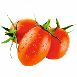 Томаты сливовидные грунтовые