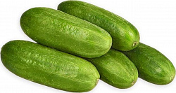 Огурцы короткоплодные гладкие
