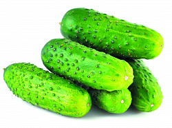 Огурцы короткоплодные тепличные