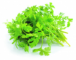 Петрушка свежая упаковка, 100 г