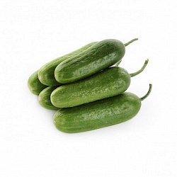 Огурцы бакинские