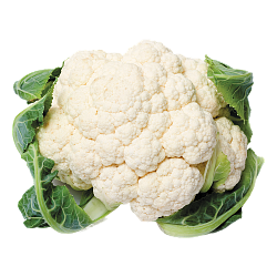 Капуста цветная