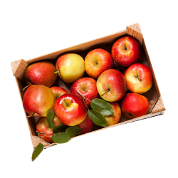 Яблоки сезонные