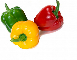 Перец светофор
