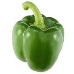 Перец зеленый