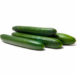 Огурцы длинноплодные