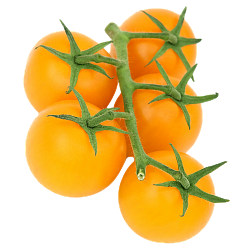 Томаты желтые