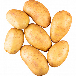 Картофель молодой