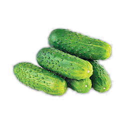 Огурцы ТСХА