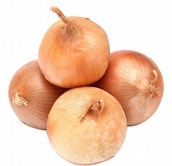 Лук Тульская нива в сетке, 1 кг