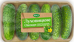 Огурцы Луховицкие овощи короткоплодные упаковка, 450 г