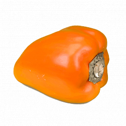 Перец оранжевый
