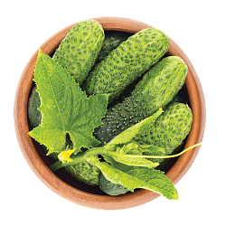 Огурцы короткоплодные упаковка, 450 г