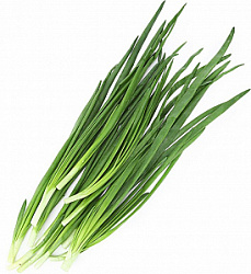 Лук зеленый