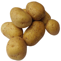 Картофель молодой
