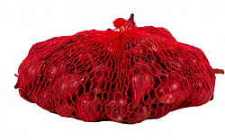 Лук Севок красный